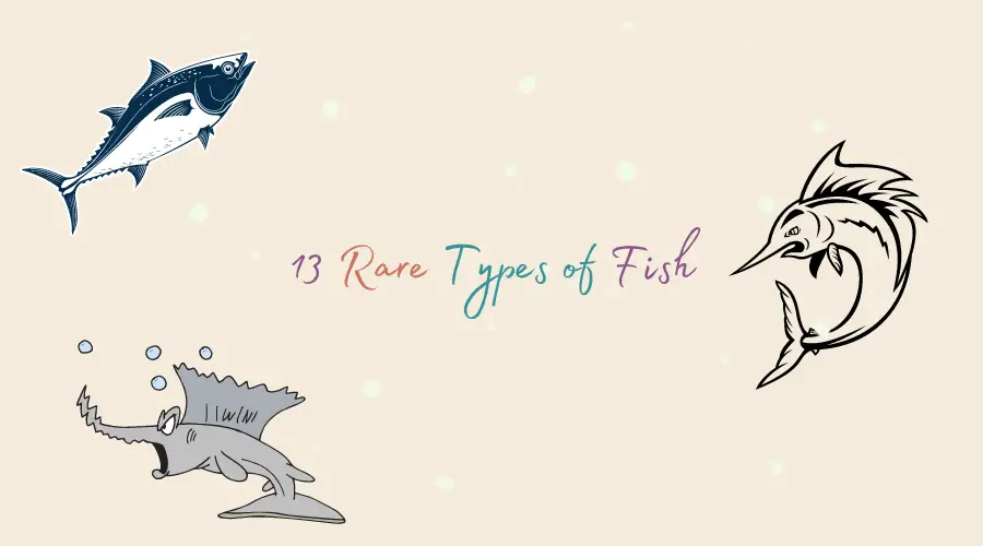 Rare types of fish